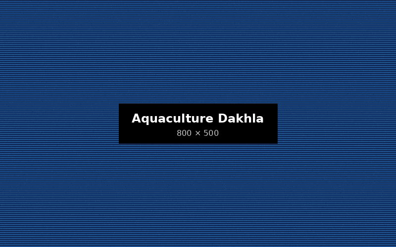 Agro Group étend son pôle aquaculture à Dakhla